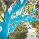 Illustration for article titled It took four miles of yarn to turn this tree into a knit squid